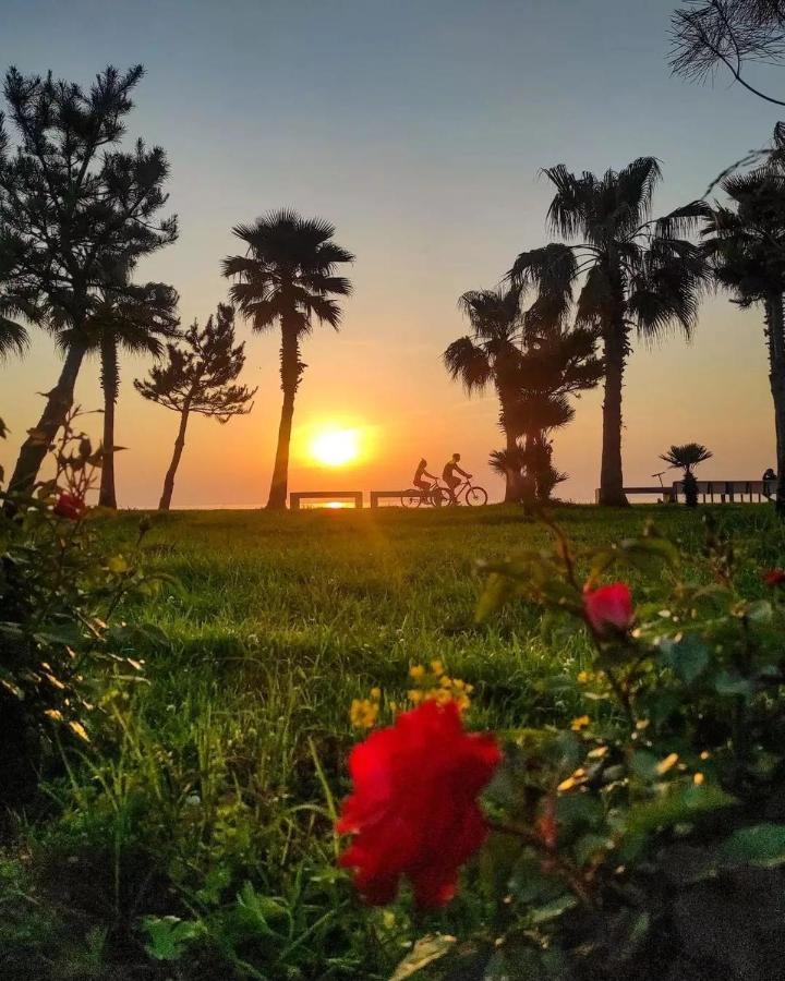 Sea Line Aparthotel & Batumi Beach Resort Εξωτερικό φωτογραφία